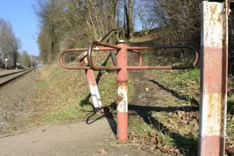 Von der Schulstraße her führt ein Trampelpfad an den sogenannten Triller – hier Fotos aus dem Jahr 2013. Der Pfad führt dann ...