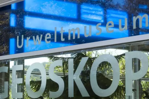 Das Ferienprogramm wird vom Urweltmuseum Geoskop organisiert. 