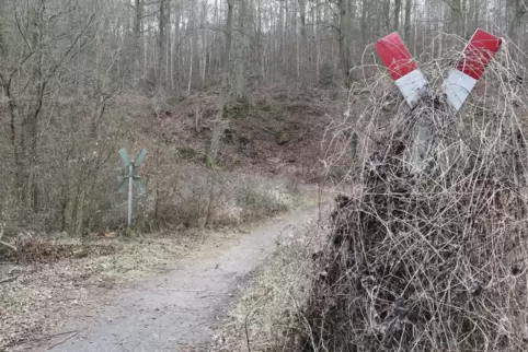Der Weg soll von Grünstadt bis nach Hertlingshausen führen.