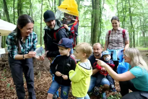 Die Familien Pfeiffer aus Kusel und Paulus aus Schönenberg-Kübelberg an der Station von Alexandra Knapp (links), der Waldpädagog