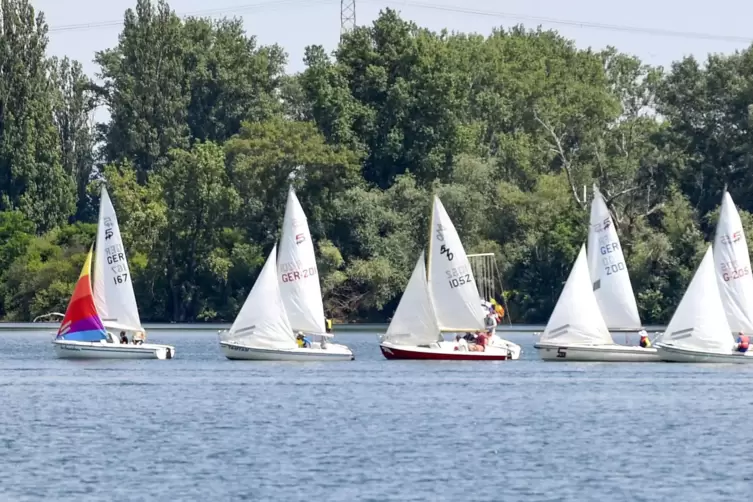 Sie segeln wieder: Am Wochenende fand die erste Regatta auf dem Silbersee statt.