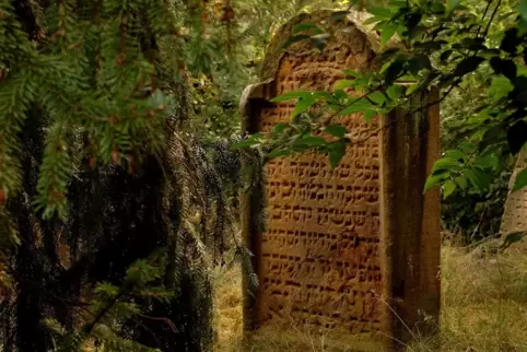 Der Deidesheimer Fotograf Bernhard Stoll hat die Fotos für den kleinen Flyer beigesteuert – so wie dieses vom jüdischen Friedhof