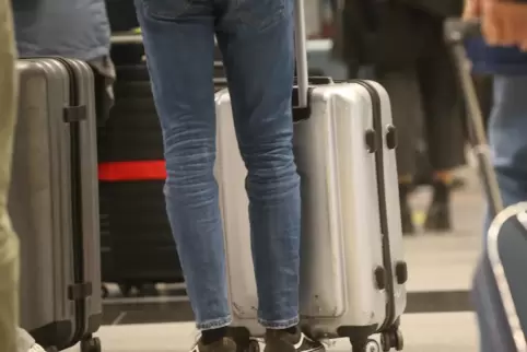 Viele scharren mit den Hufen, weil sie endlich wieder wegkommen wollen,