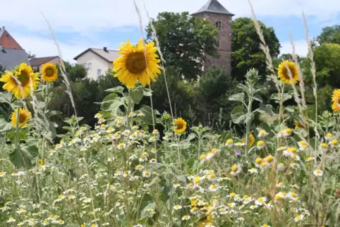 Natur: ein kleines Stück Paradies. 