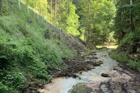 Durch den Starkregen schwer beschädigter Weg im Wald.