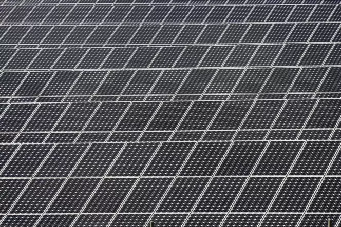 Prokon möchte vor den Toren Bottenbachs ein Solarkraftwerk bauen.