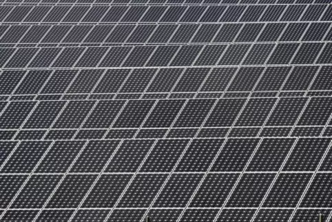 Prokon möchte vor den Toren Bottenbachs ein Solarkraftwerk bauen. 