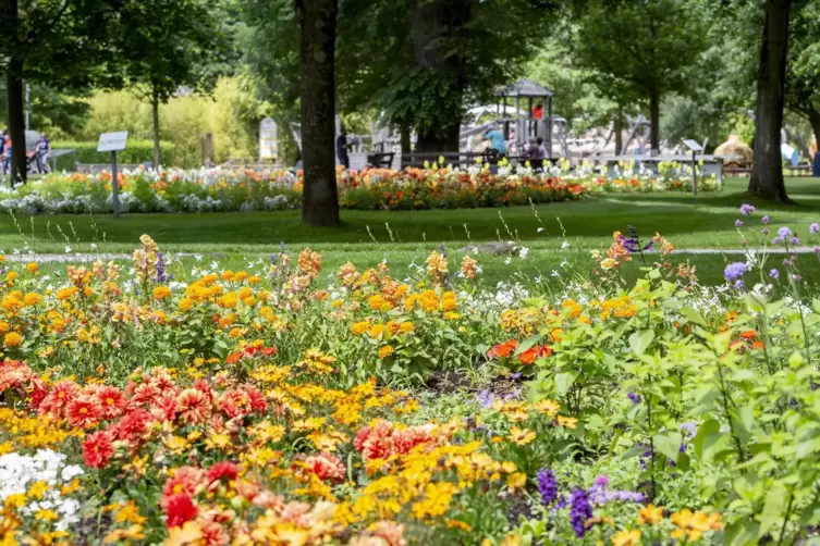 Bl&uuml;hende Oase: Der heutige Gartenschau-Park in Kaiserslautern