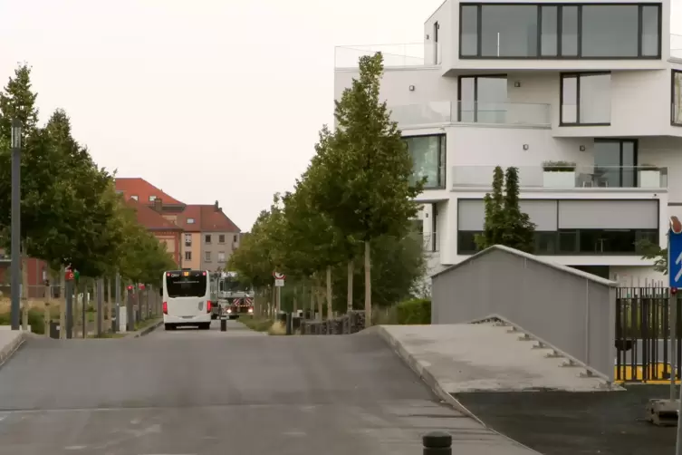 In Landau entstand aus der Gartenschau nicht nur ein Park, sondern auch ein Wohngebiet. 