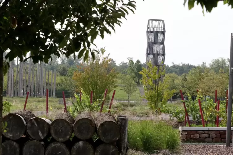 Das markanteste &Uuml;berbleibsel der Gartenschau in Landau: Der Aussichtsturm. 