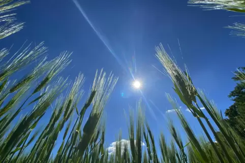 Landwirtschaftliche Fläche für eine mögliche spätere Bebauung zu opfern, das finden einige Fraktionen im Stadtrat überhaupt nich