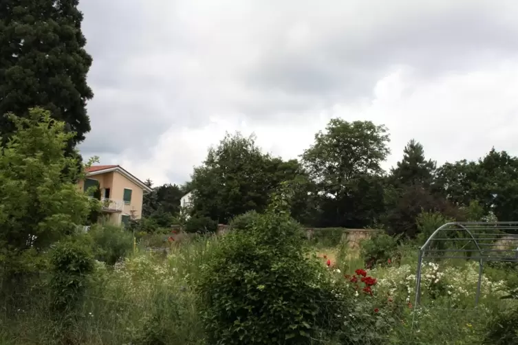 Ist das sch&ouml;n oder nicht? Die Meinungen gehen bei dieser Frage auseinander. 