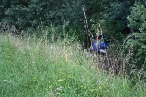 Die Polizei hatte große Mühe, das Auto mit dem Verunglückten im Straßengraben zu finden. 