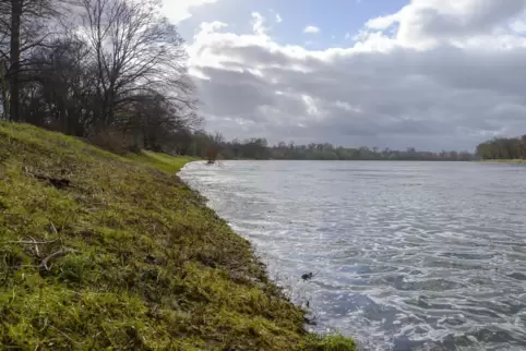 Der Rhein hat leichtes Hochwasser. Hier ein Foto aus dem Jahr 2018.