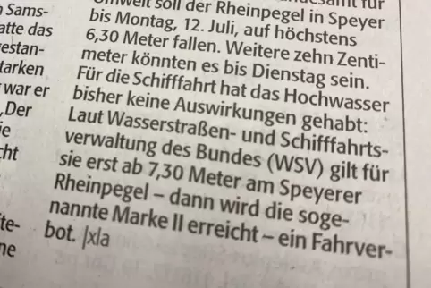Speyerer Rundschau: Viele Artikel endet mit kuriosen Buchstabenkombinationen. 