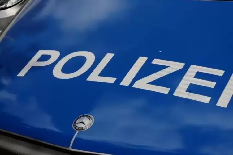 blaulicht_polizei_polizeiauto_foto_merkel (5)
