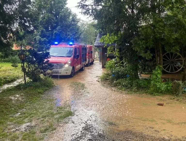 Mehr als 50 Einsätze hatten die Wehrleute der Verbandsgemeinde Kirchheimbolanden im Juni.