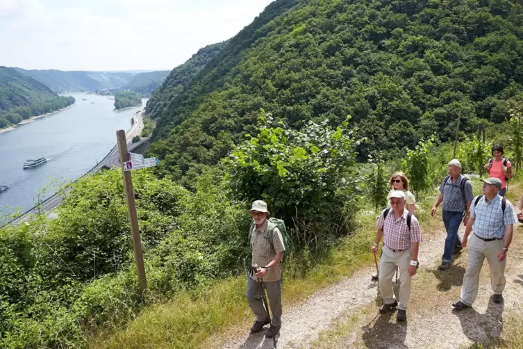 Rheinland-Pfalz hat touristisch auch viel zu bieten, wie etwa eine Wanderung über dem Rheintal auf der Traumschleife Rheingold b