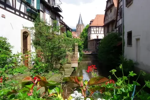 Von Weißenburg nach Karlsruhe führt eine Tour des ADFC Ende August.