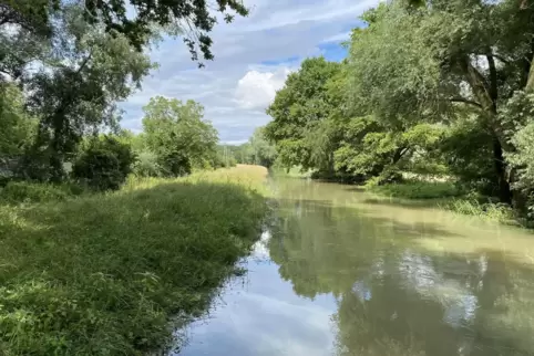 Am Sommerdeich zwischen Neuburg und Hagenbach ist das Wasser in der Nacht zum Donnerstag schon etwas übergeschwappt; am Nachmitt