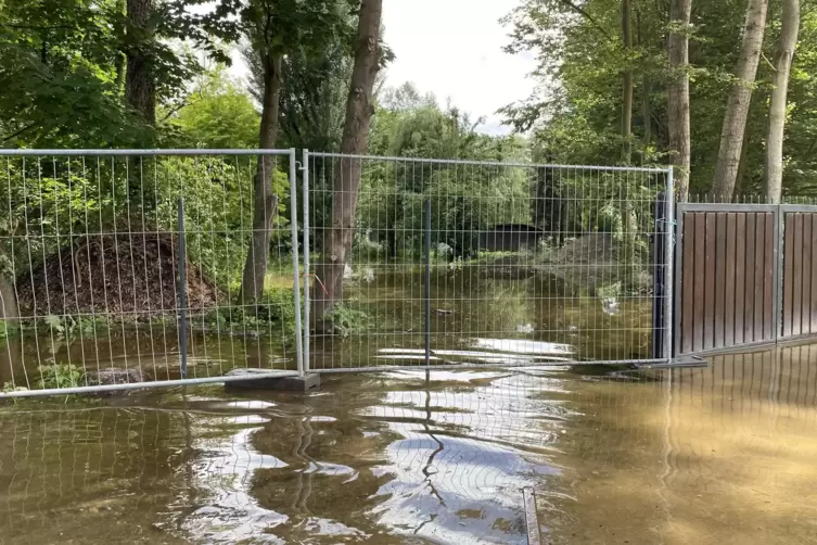 Grundst&uuml;ck knapp h inter dem Sommerdeich.
