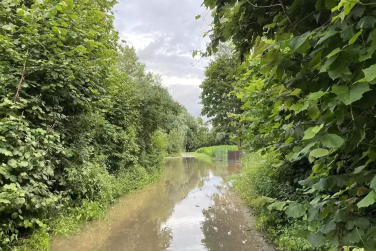 &Uuml;berschwemmter Feldweg. 