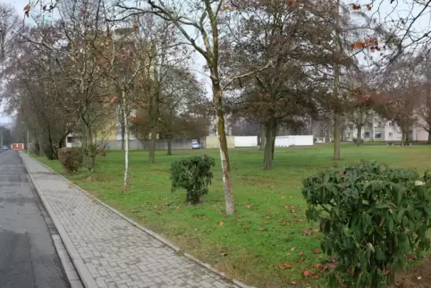 Kastanienweg: Diese Fläche will die Bürgerinitiative vor einer Bebauung bewahren.