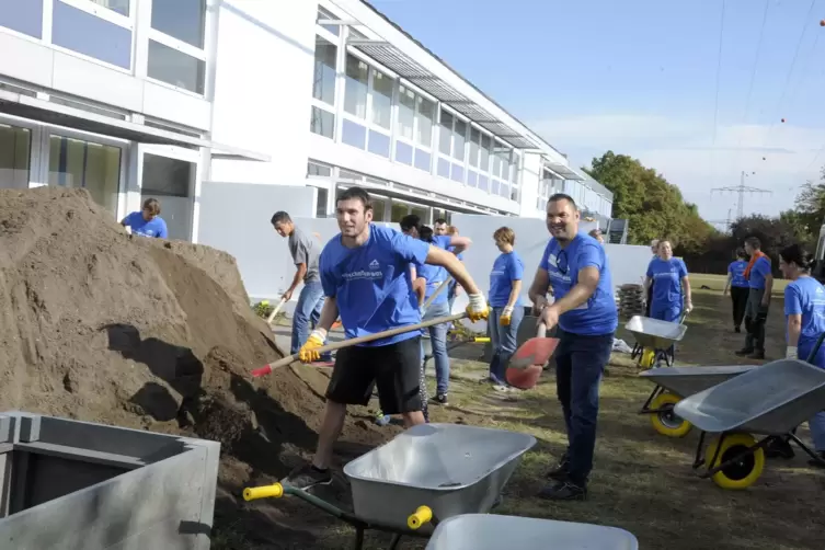 Beim Freiwilligentag 2016 waren 100 Helfer an der Ernst-Reuter-Schule im Einsatz. 