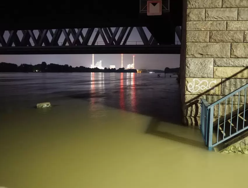 Rheinradweg: Völlig unter Wasser steht der Rheinradweg bei Maximiliansau im Bereich der Brücken.
