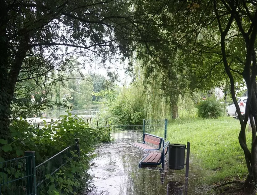 Kehle: Der See in Maximiliansau tritt über die Ufer. Bänke stehen bereits unter Wasser.