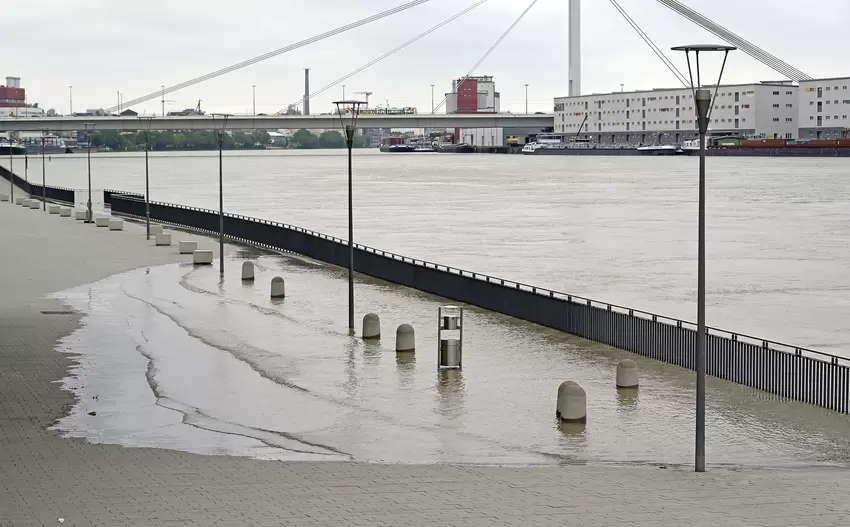 hochwasser-rhein_0587