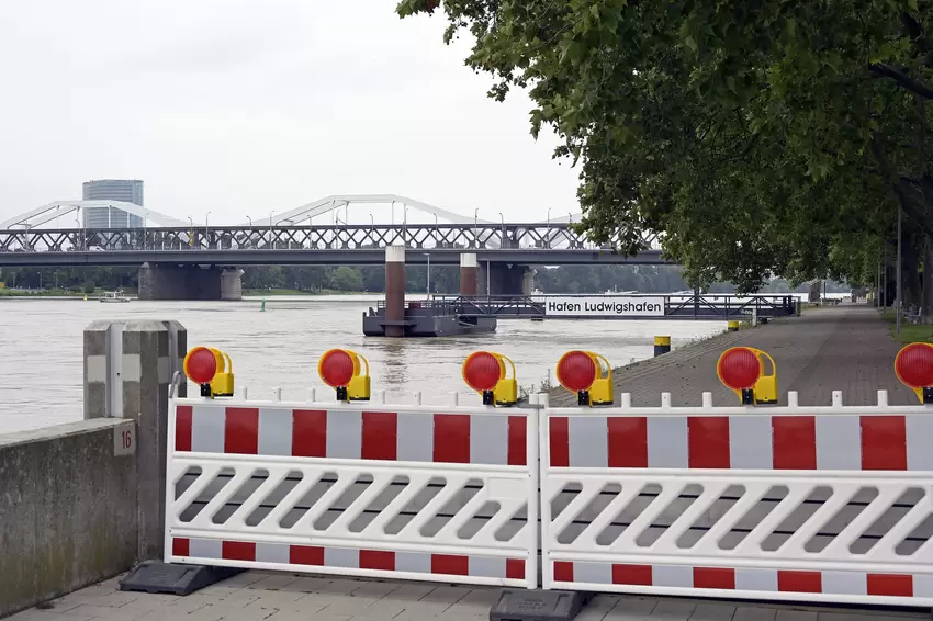 hochwasser-rhein_0585
