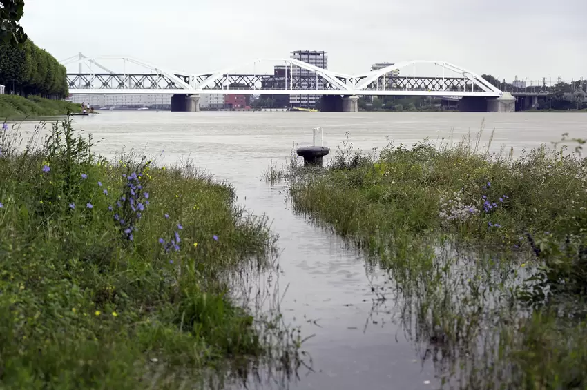 hochwasser-rhein_0579