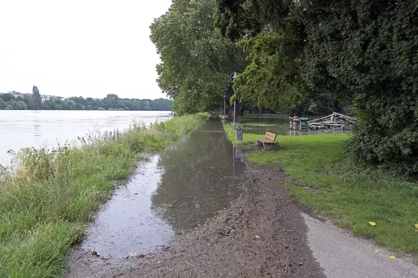 hochwasser-rhein_0578