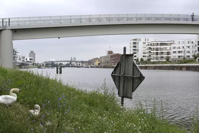 hochwasser-rhein_0569