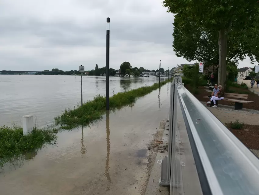 Hochwasser am Rhein in Speyer.