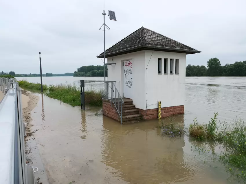 Hochwasser am Rhein in Speyer.