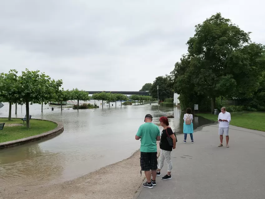 Hochwasser am Rhein in Speyer.
