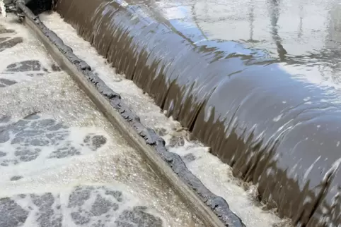 Mit der neuen Messstation will die BASF schneller erkennen, wann Schadstoffe im Abwasser sind. 