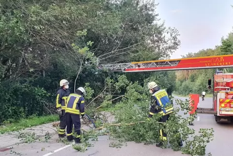 Feuerwehrleute schneiden die abgetrennten Baumkronen auf der Straße klein. 