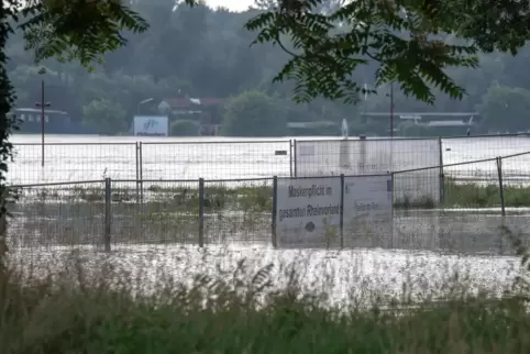 Land unter: Das Rheinvorland bei Germersheim.
