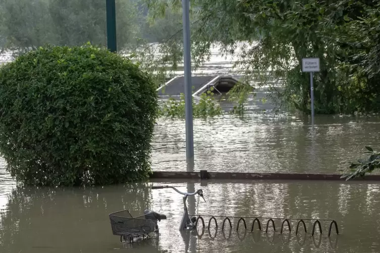 Ein vergessenes Fahrrad am Unkenfunk in Germersheim.