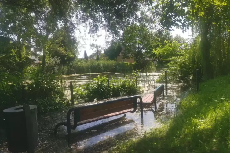 Wegen Druckwasser tritt die Kehle, ein kleiner See in Maximiliansau, &uuml;ber die Ufer.