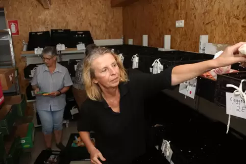 Ute Heß, Vorsitzende der Kuseler Tafel, und Barbara Merkert (rechts) beim Packen der Pakete, die an Kunden ausgegeben werden. 
