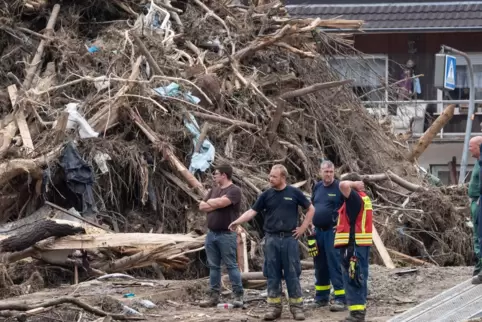  Helfer von THW und Feuerwehr stehen vor einem riesigen Berg aus angeschwemmtem Treibgut. 