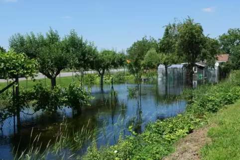 Vom Fischergraben (vorne) überflutet: Kleingarten im Revier an der Rheinhäuser Straße. 