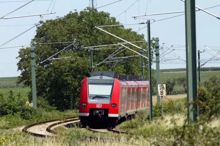Betroffen von den Bauarbeiten sind unter anderem Züge der Linie S 3 (hier bei Lingenfeld).