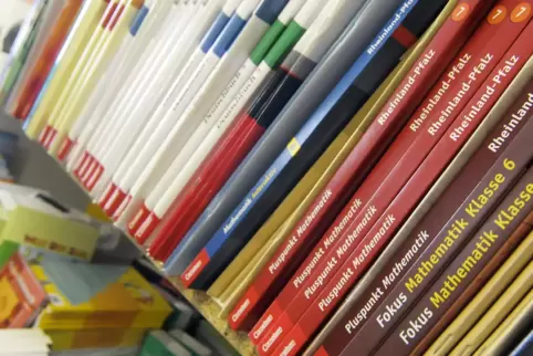 Die Kreisverwaltung will die Ausleihe und Rückgabe von Schulbüchern zentralisieren. 