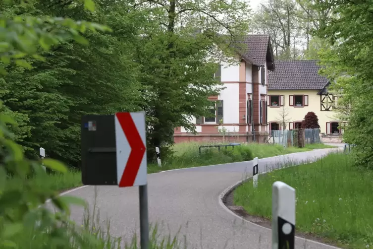 Kurz vor Bienwaldm&uuml;hle sollen die Radfahrer den Pl&auml;nen zufolge die Stra&szlig;e &uuml;berqueren.