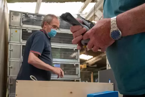 Eine Taube nach der anderen nehmen die Züchter aus den Körben. 